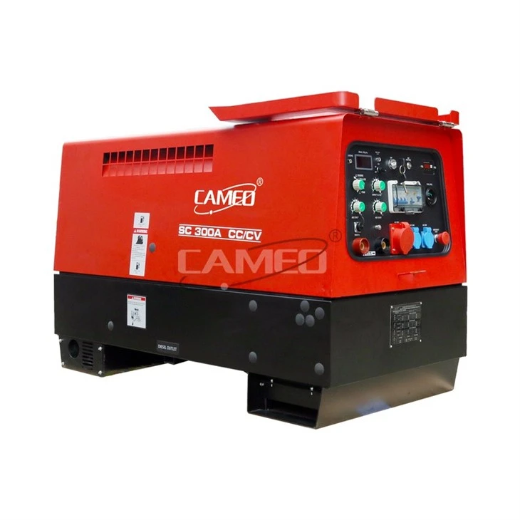 Diesel Engine Driven Welding Machine 300 Amp